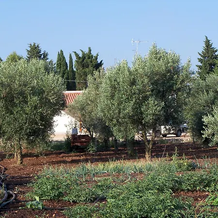 Il Pavone Farmház Torre Lapillo