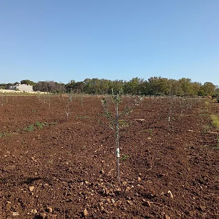 Il Pavone Farmház *