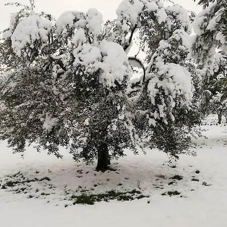 Il Pavone * Torre Lapillo