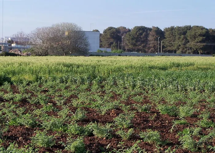 Il Pavone בית חווה *