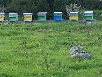 Farm stay Il Pavone
