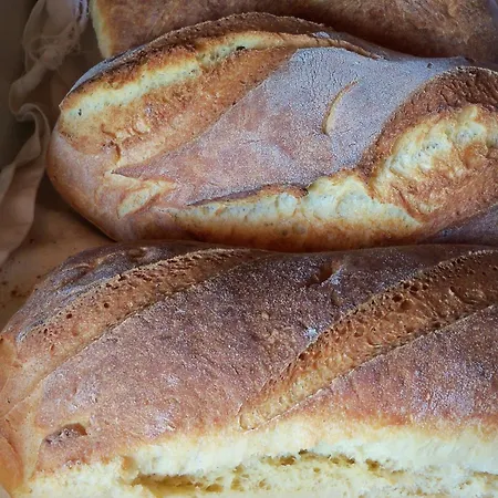 Il Pavone Gospodarstwo agroturystyczne