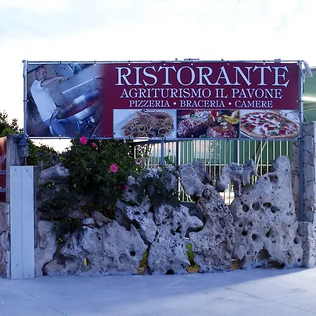 Il Pavone Torre Lapillo