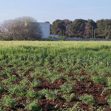 Il Pavone Farm stay *