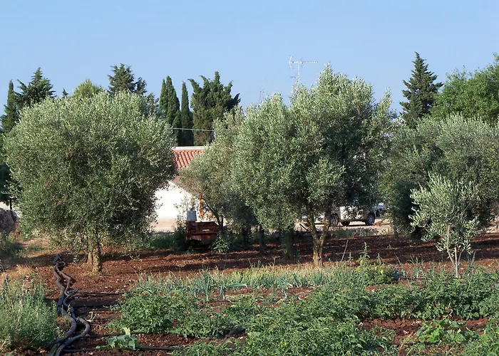 Il Pavone Agroturismo Torre Lapillo